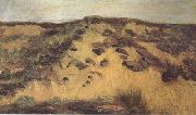Vincent Van Gogh Dunes(nn04) Spain oil painting artist